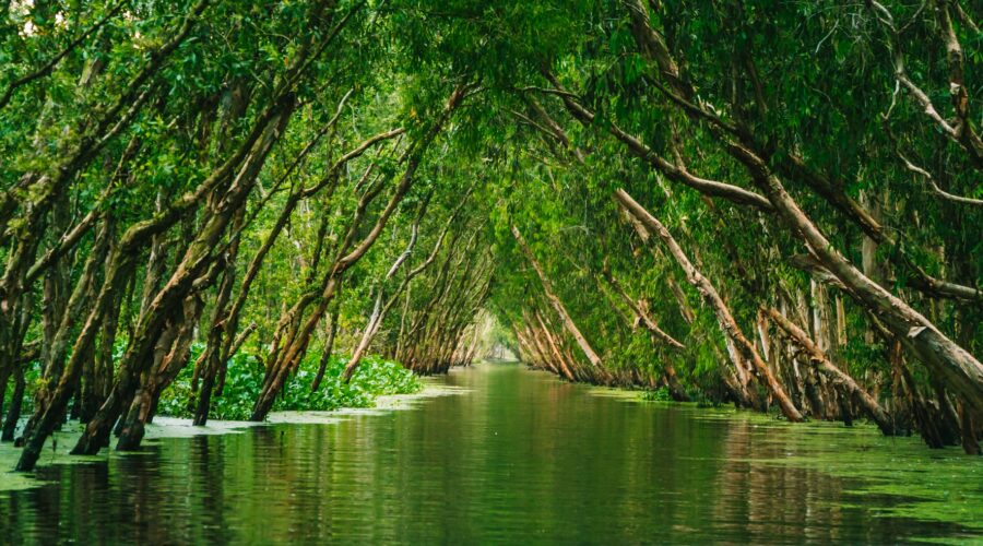 Geographical Attractors: How Personality and Place Affect Personal Flourishing